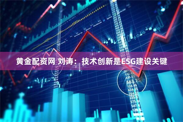 黄金配资网 刘涛：技术创新是ESG建设关键