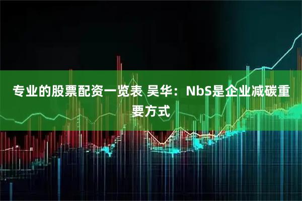 专业的股票配资一览表 吴华：NbS是企业减碳重要方式