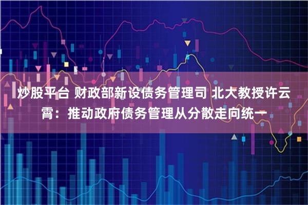 炒股平台 财政部新设债务管理司 北大教授许云霄：推动政府债务管理从分散走向统一