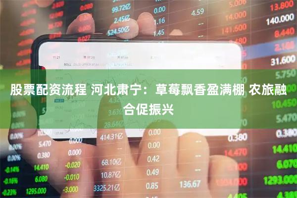 股票配资流程 河北肃宁：草莓飘香盈满棚 农旅融合促振兴