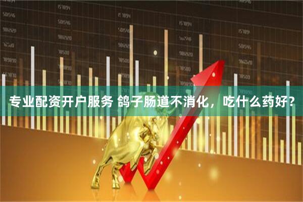 专业配资开户服务 鸽子肠道不消化，吃什么药好？